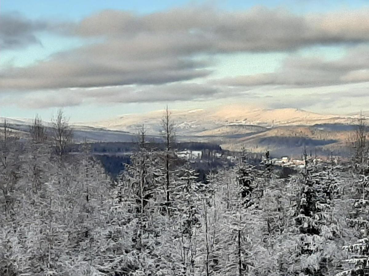Sunny Hill , Kowary Lejlighed Eksteriør billede