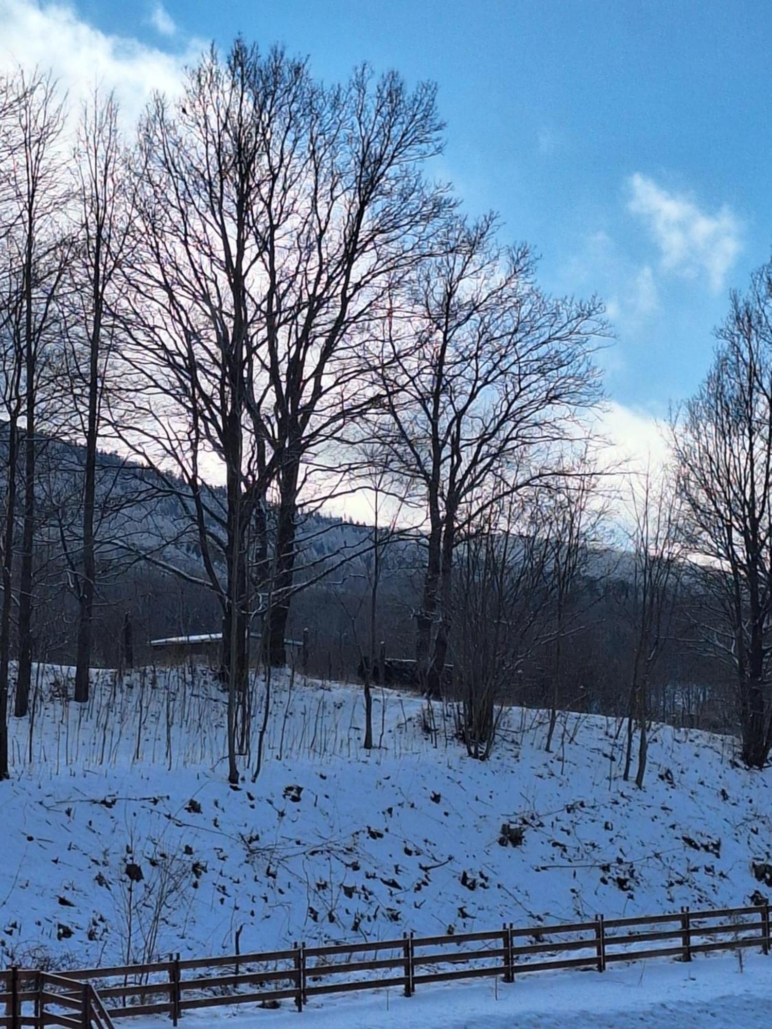Sunny Hill , Kowary Lejlighed Eksteriør billede